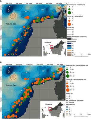 Reducing sea turtle bycatch with net illumination in an Indonesian small-scale coastal gillnet fishery